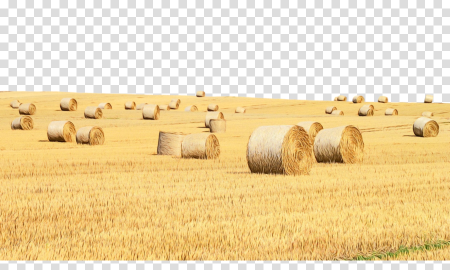 field clipart hay field