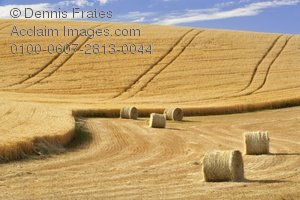 field clipart hay field