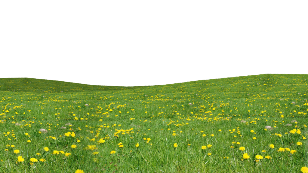field clipart pasture