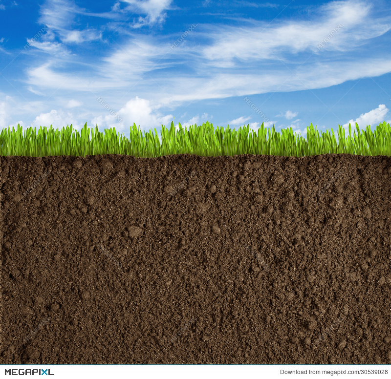 field clipart soil background