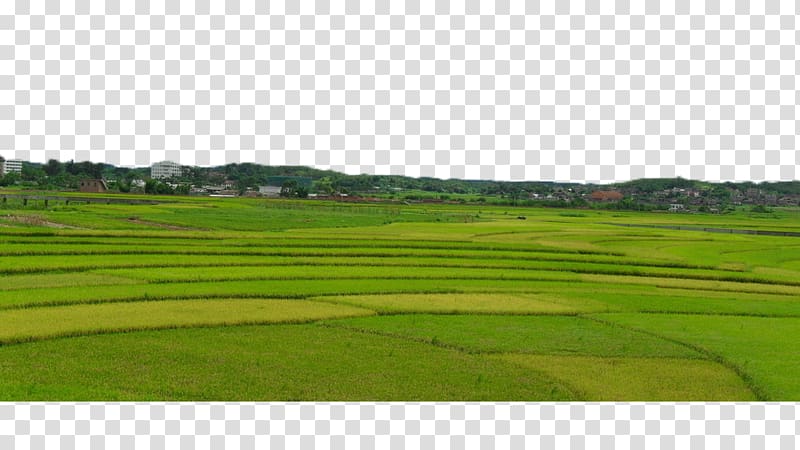 land clipart farm field