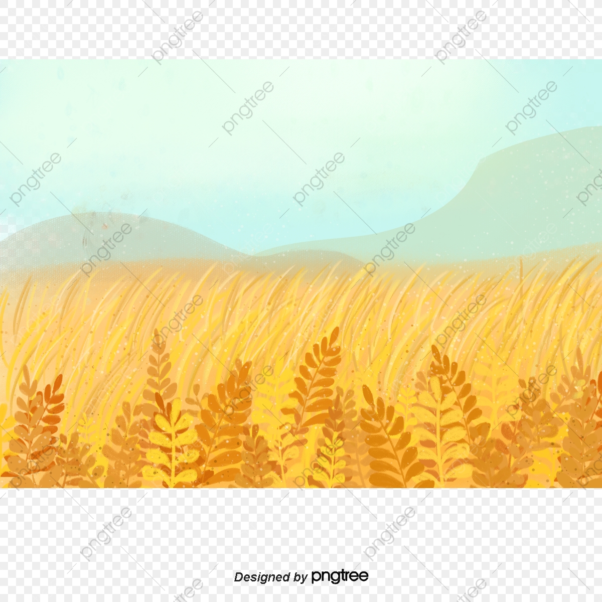 Field clipart wheat. Golden gold board png