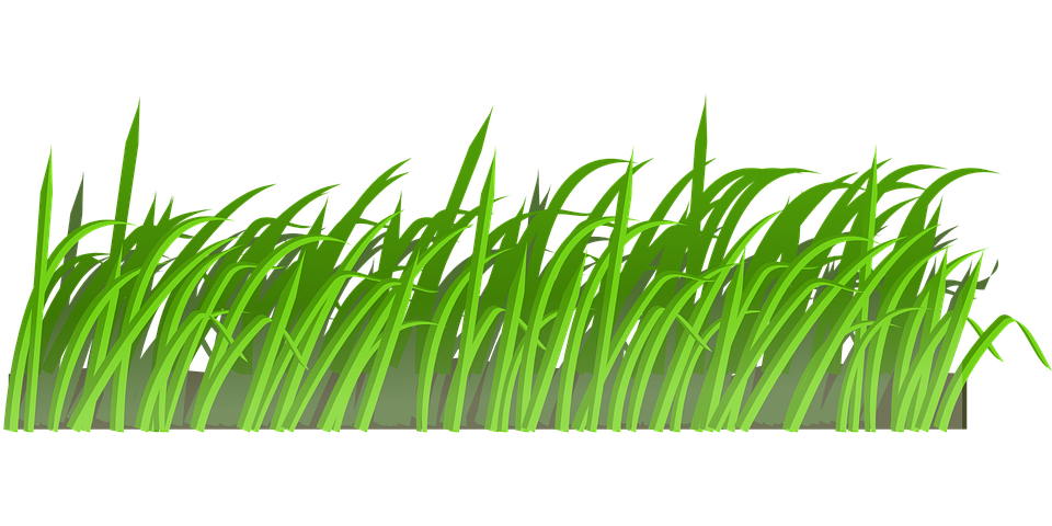 ground clipart meadow