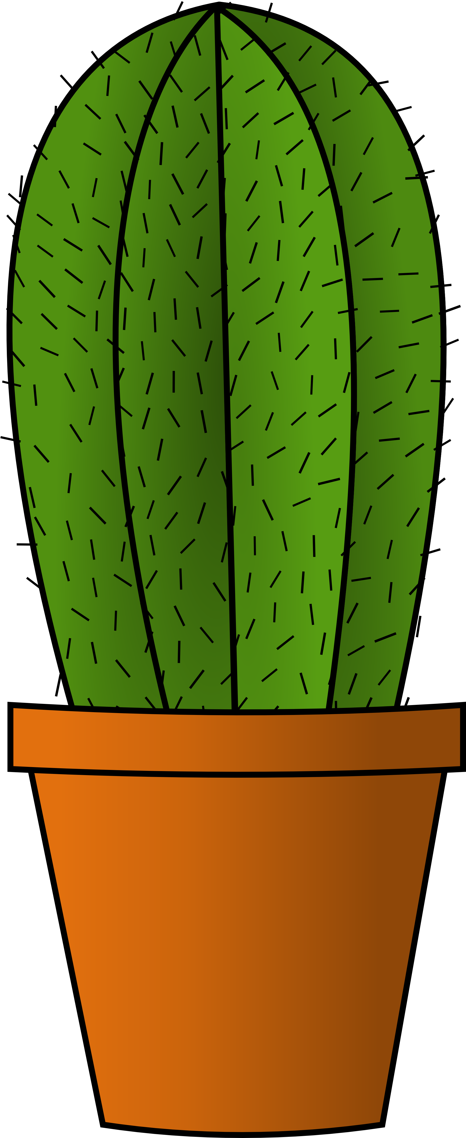 succulent clipart illustration