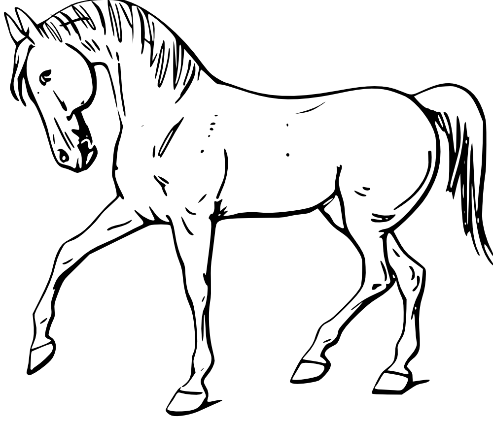 Sad clipart horse. Outline drawing of domestic