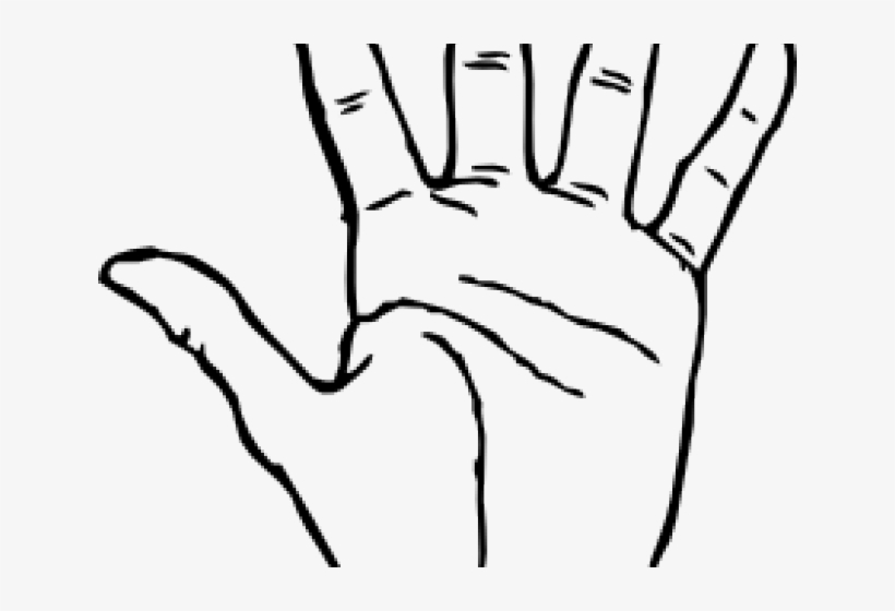 fingers clipart back hand