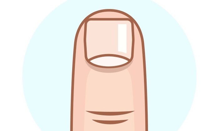 Finger clipart finger nail. Nails station 