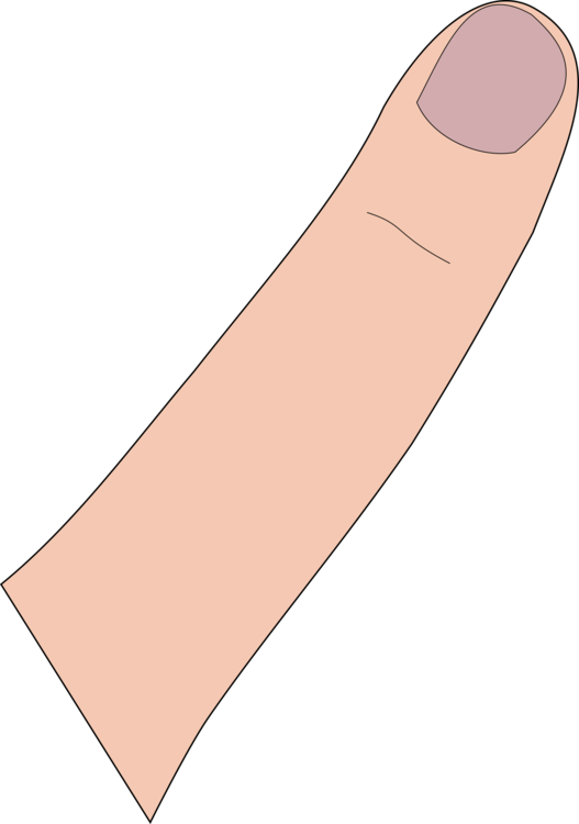 Finger clipart single finger. Angle thumb hand png