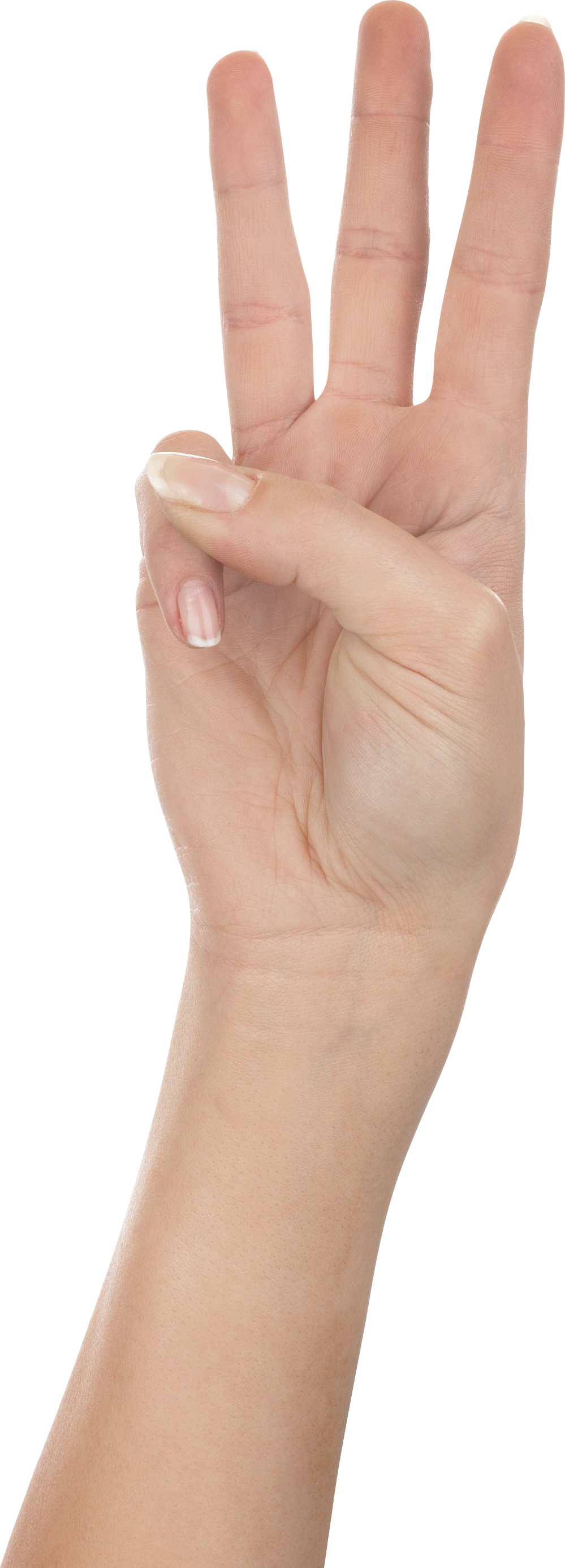 Nail clipart womens hand. Hands png free images