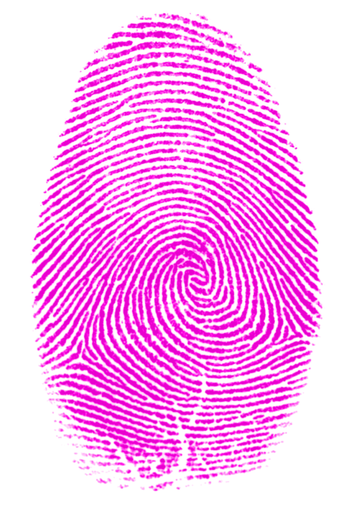 Fingerprint clipart arch fingerprint, Fingerprint arch fingerprint