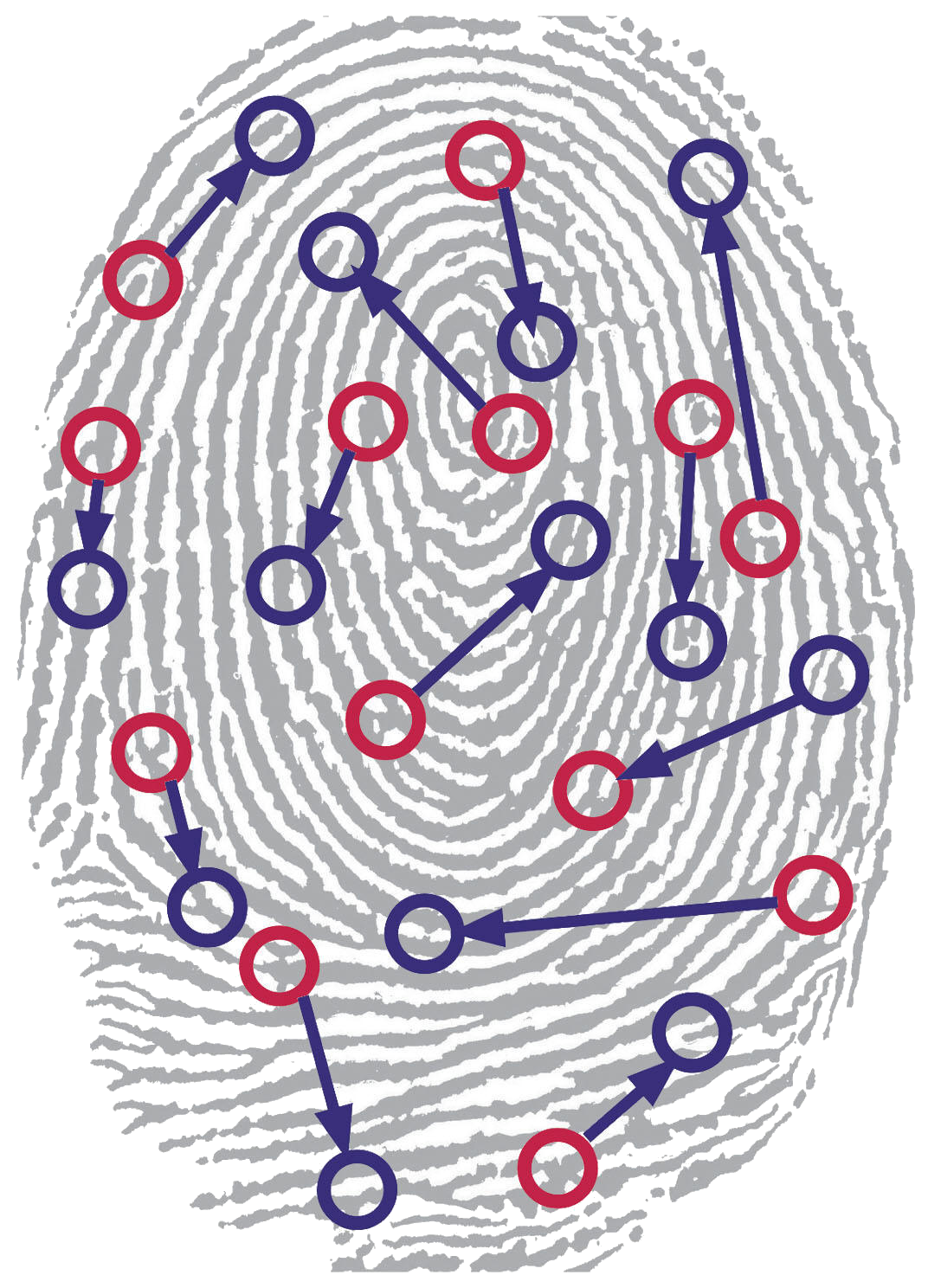 Becoming legally japanese january. Fingerprint clipart arch fingerprint
