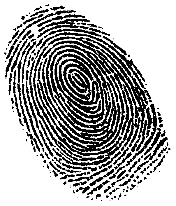 fingerprint clipart artistic