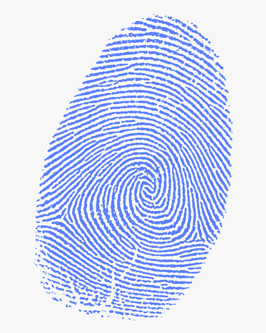 fingerprint clipart blue