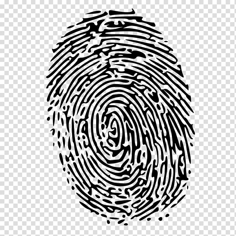fingerprint clipart clear background