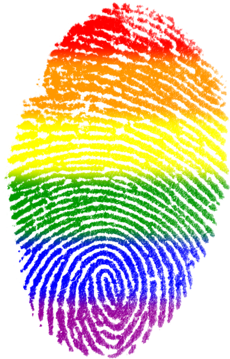 fingerprint clipart colour