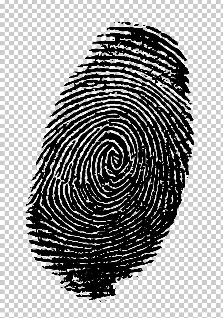 fingerprint clipart detective