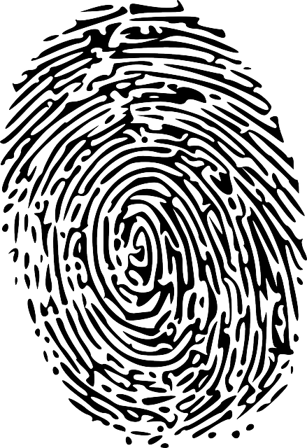 fingerprint clipart enlarged