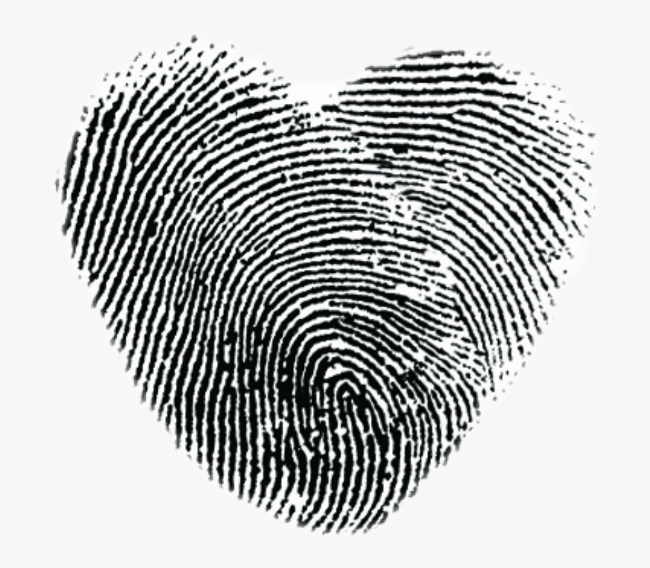 fingerprint clipart fingerprint heart