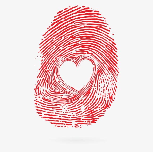 fingerprint clipart fingerprint heart
