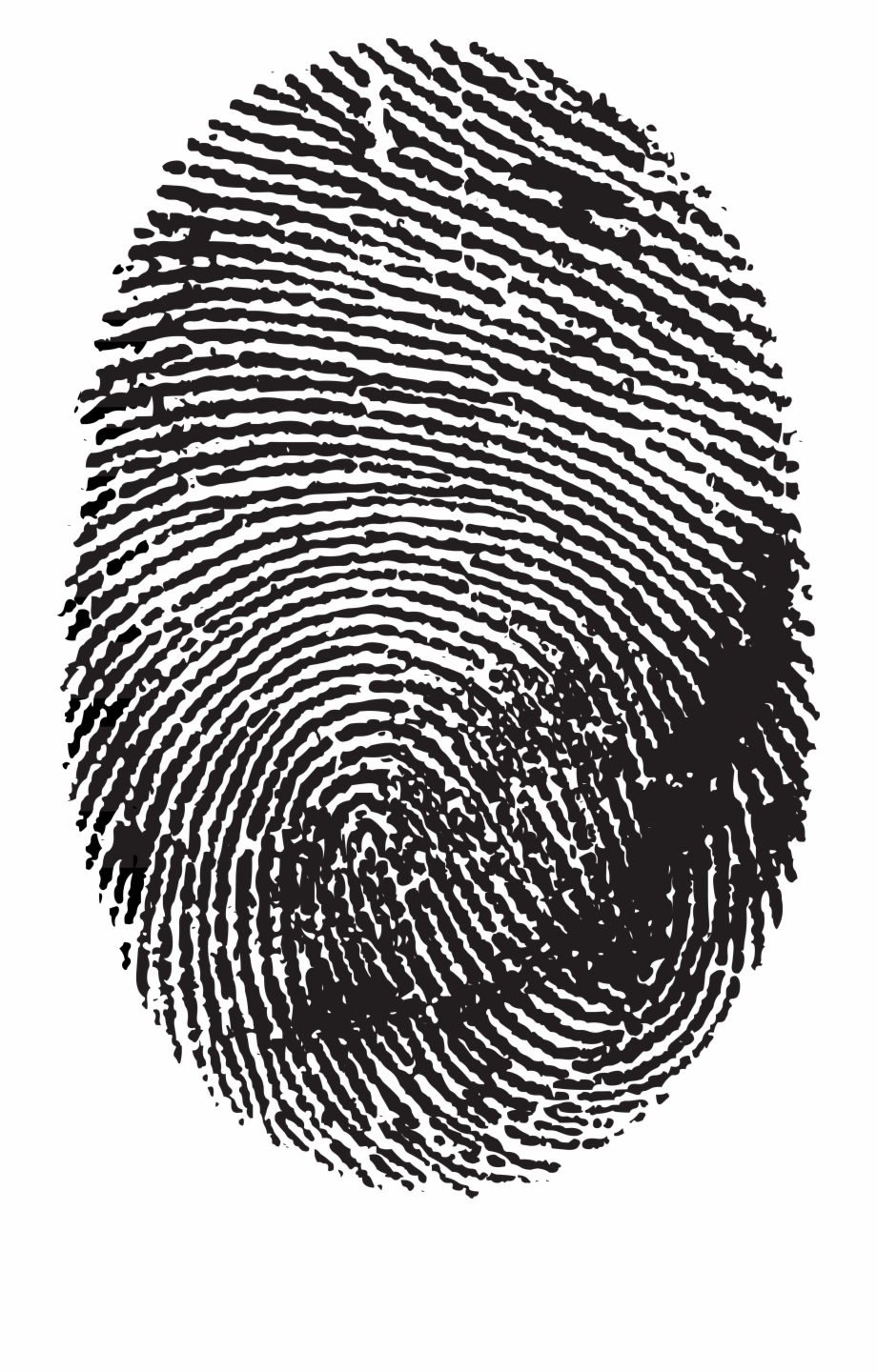 fingerprint clipart gif transparent