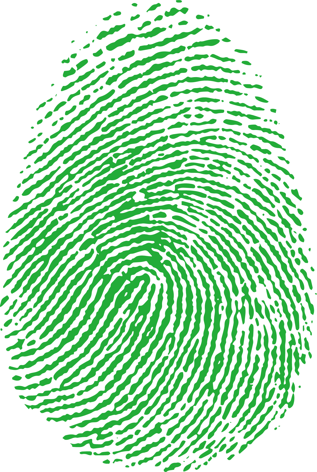 fingerprint clipart green