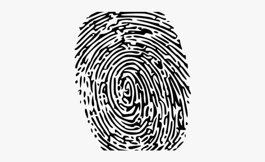 Fingerprint clipart high resolution. Large finger printing free