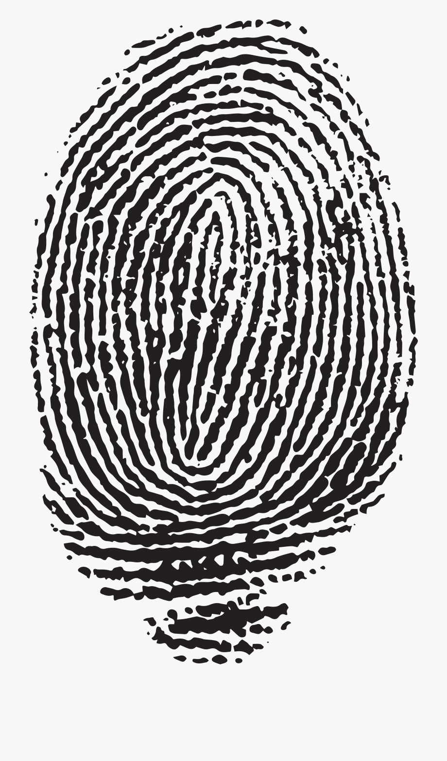 Fingerprint clipart high resolution. Png download image with