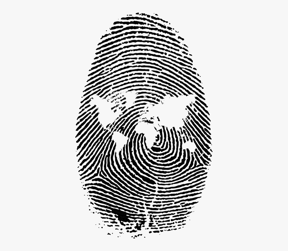 fingerprint clipart human