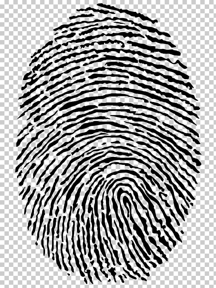 Fingerprint clipart identity. Theft finger print png