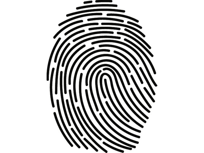 fingerprint clipart identity