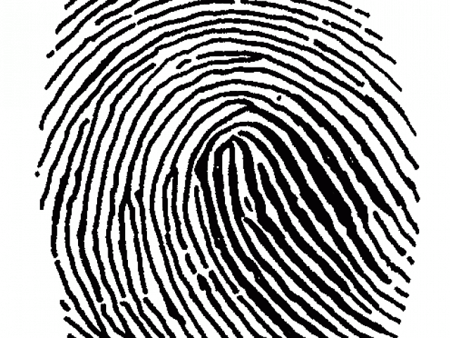 fingerprint clipart large