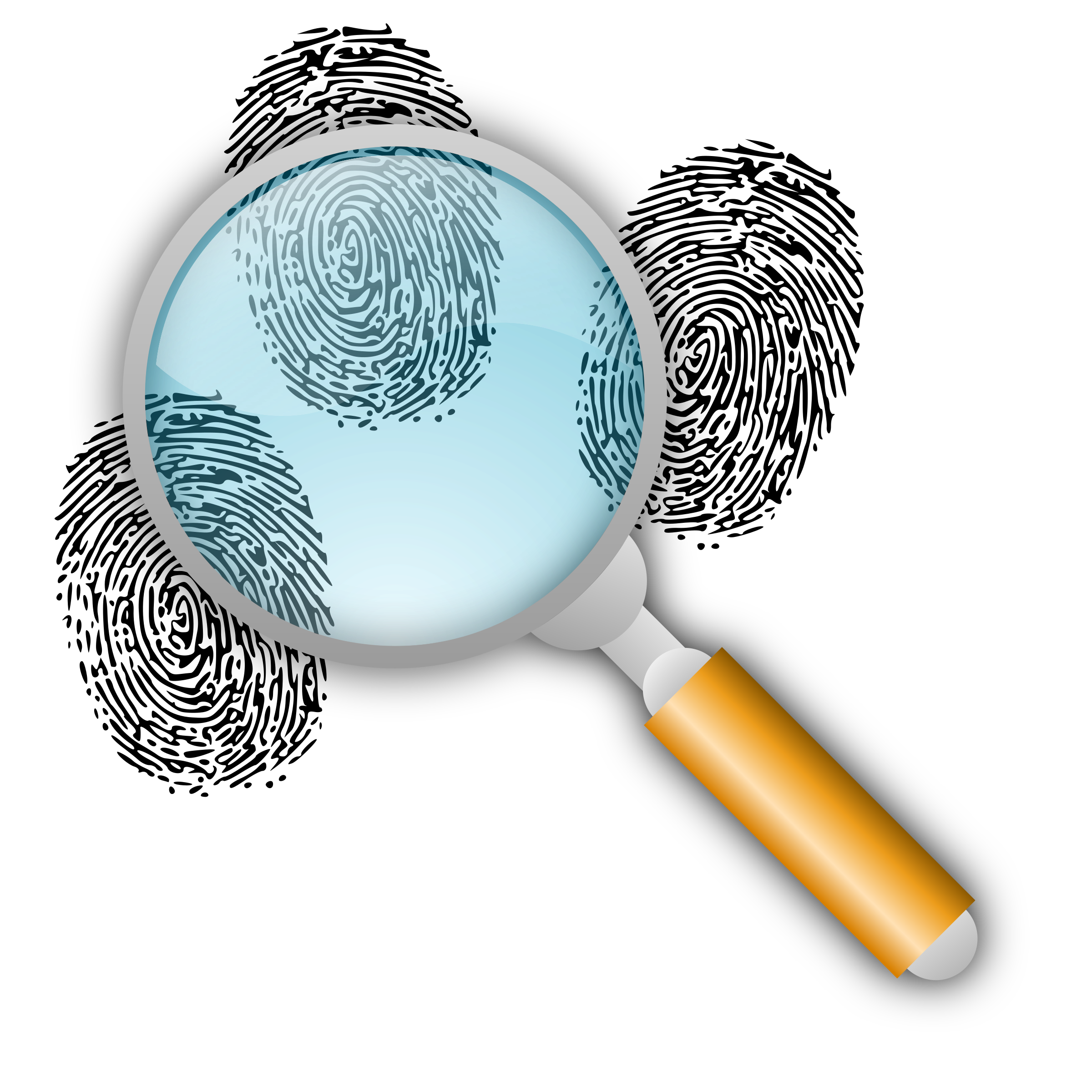 fingerprint clipart magnifying glass