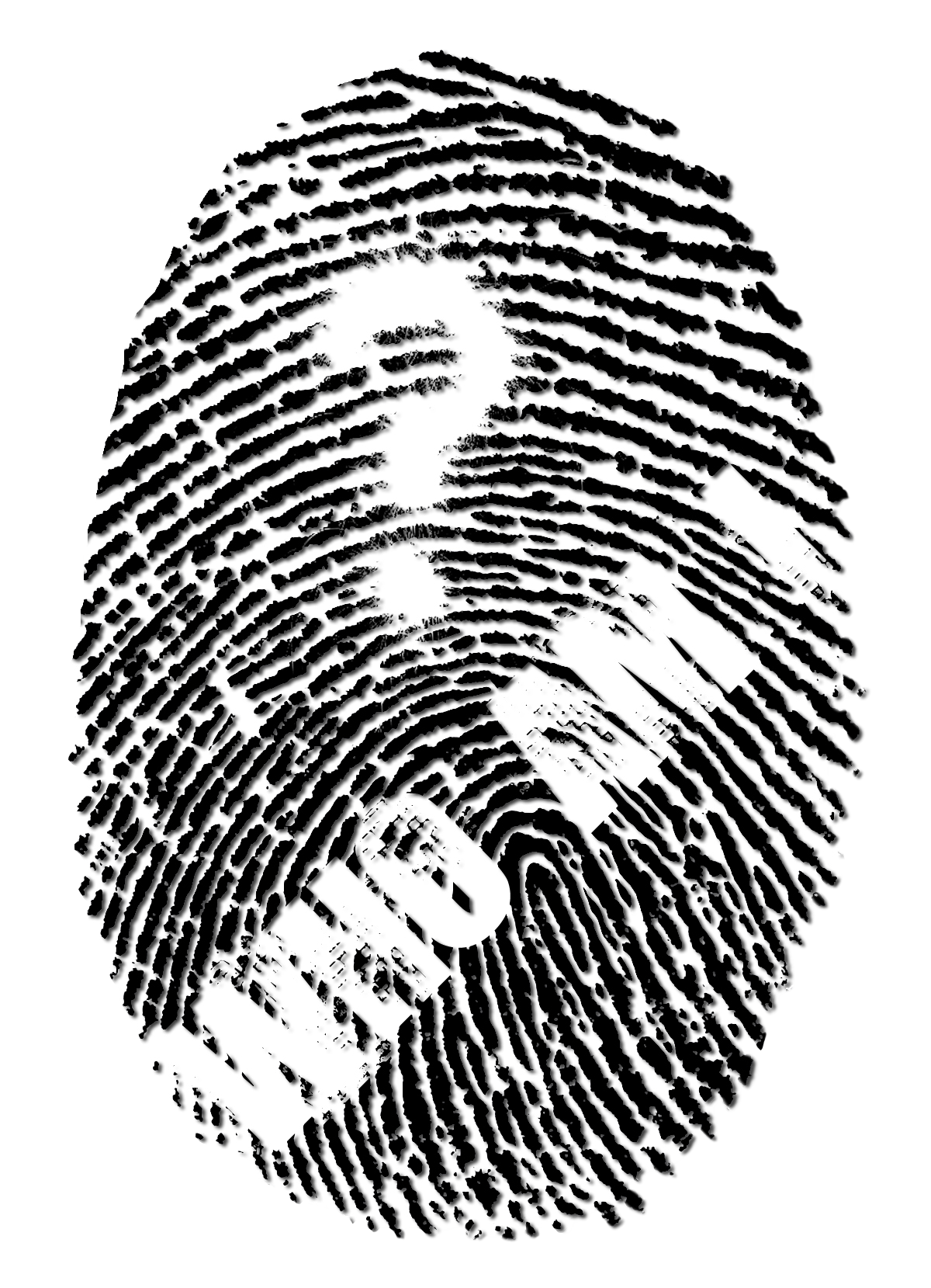 Fingerprint clipart minimal. A mysterious secret from