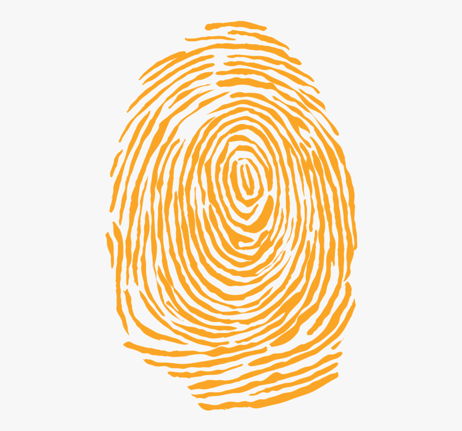 fingerprint clipart orange