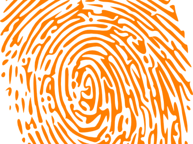fingerprint clipart orange