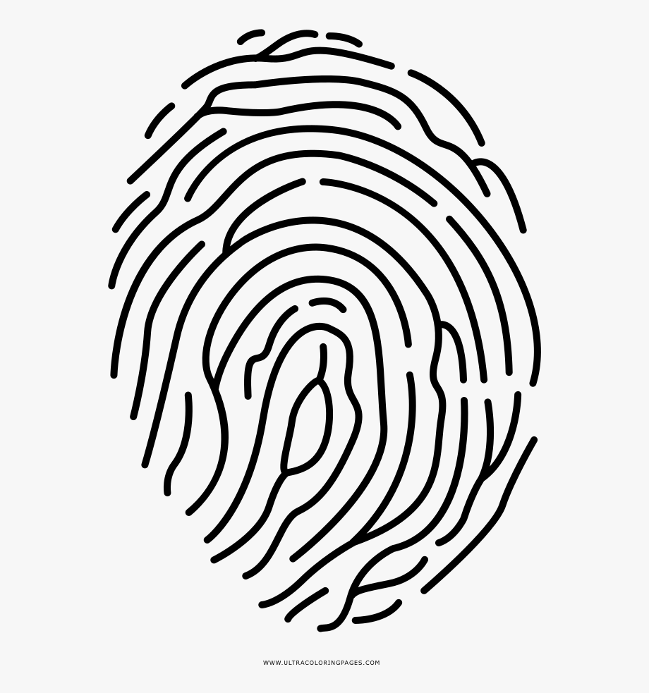 fingerprint clipart outline