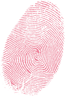 fingerprint clipart pink