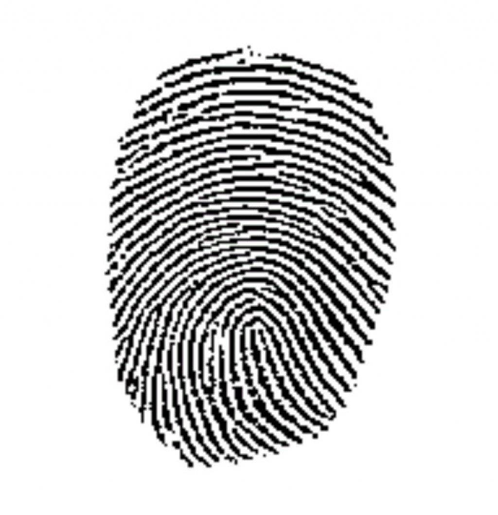 fingerprint clipart right thumb