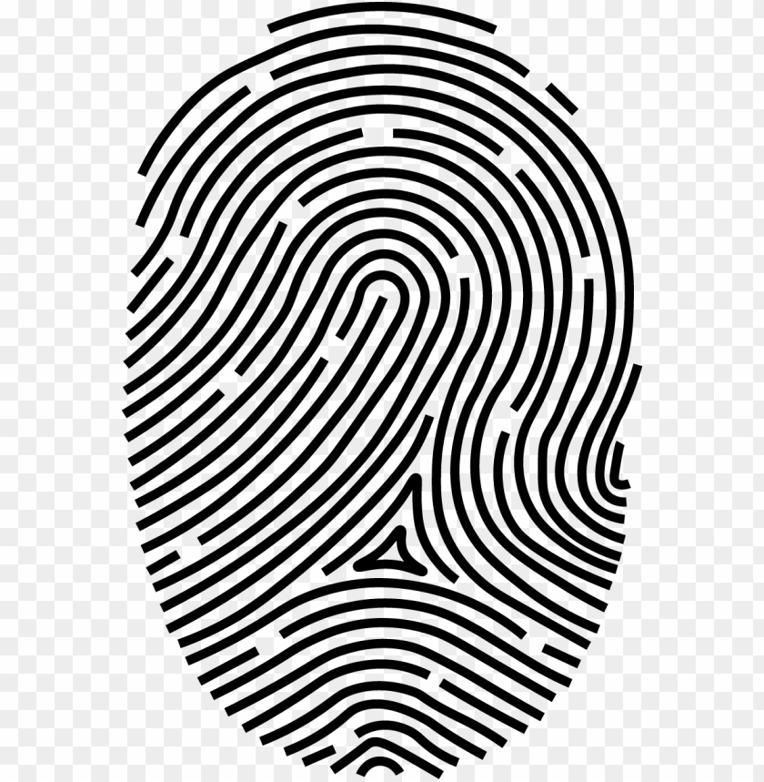fingerprint clipart transparent background