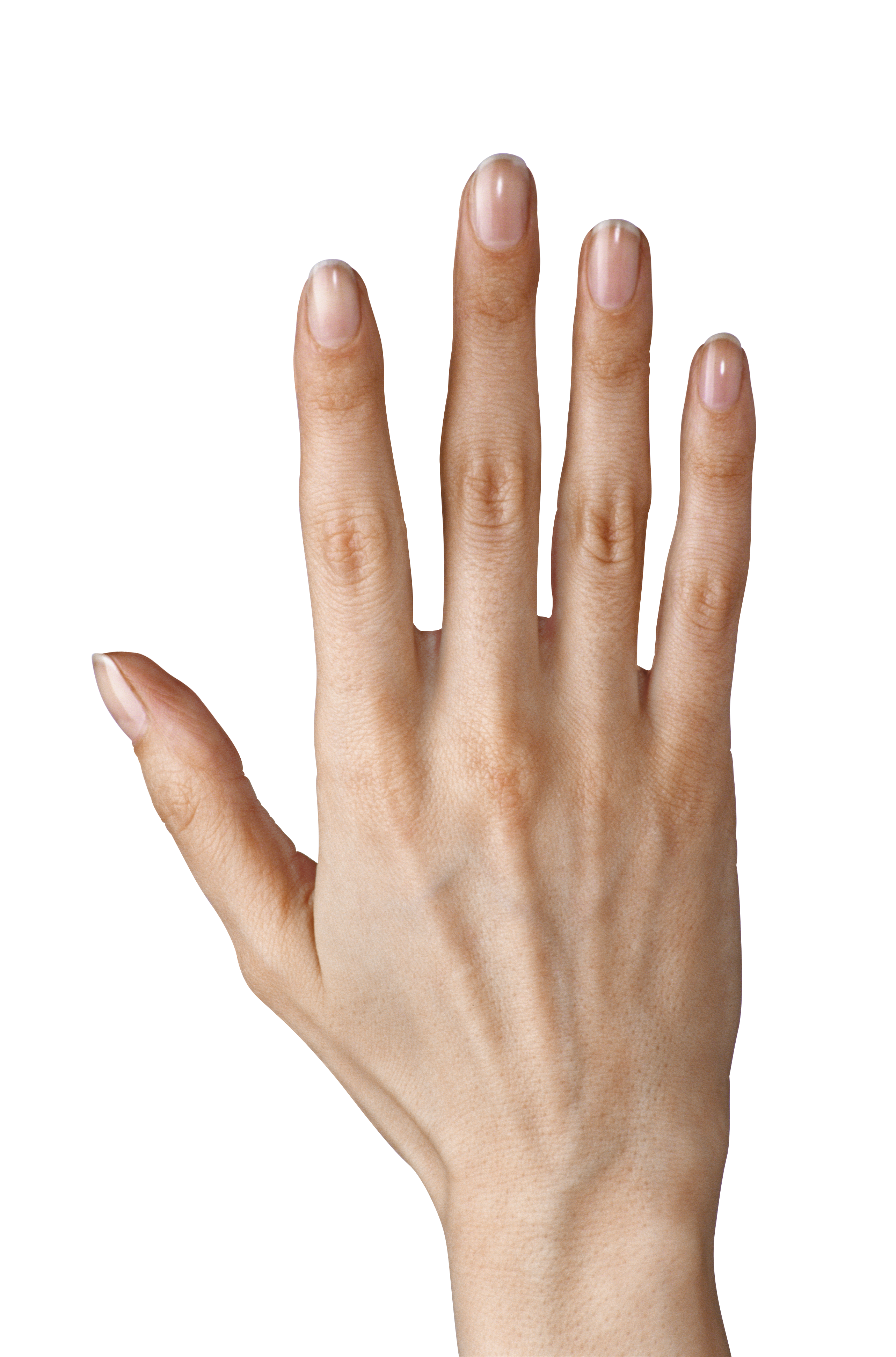 Hand showing five fingers. Handprint clipart finger