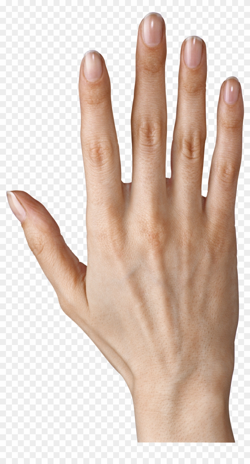 fingers clipart five finger