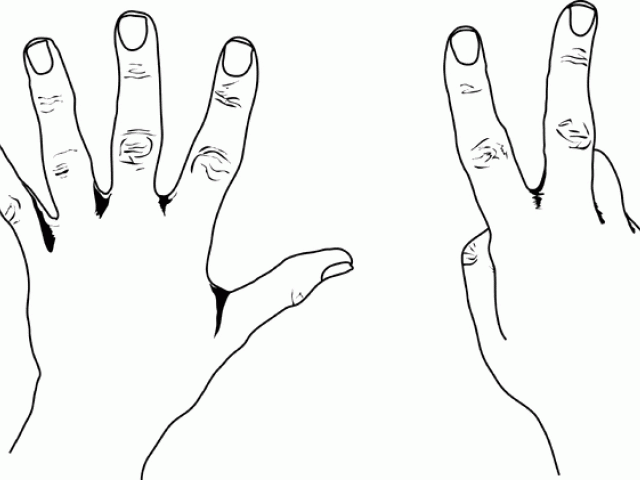 fingers clipart pair hand