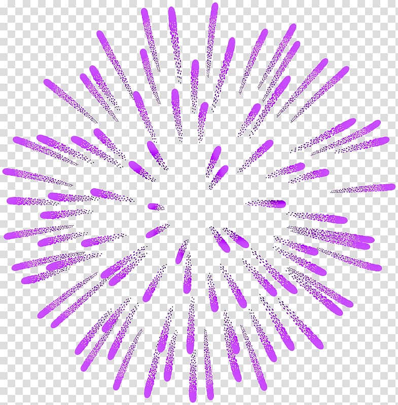 firecracker clipart purple