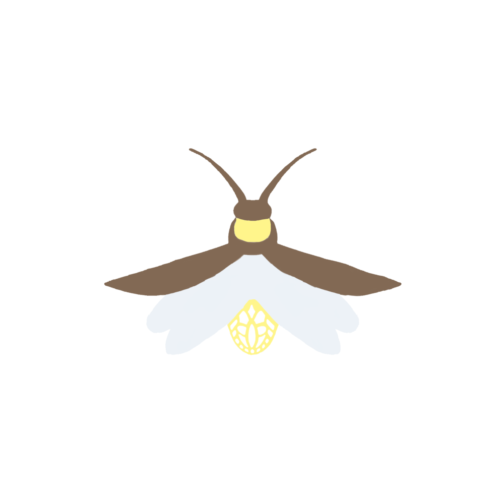 insects clipart firefly
