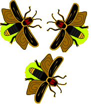 firefly clipart flying
