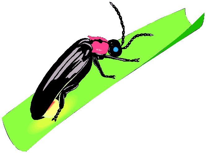Free cliparts download clip. Firefly clipart flying