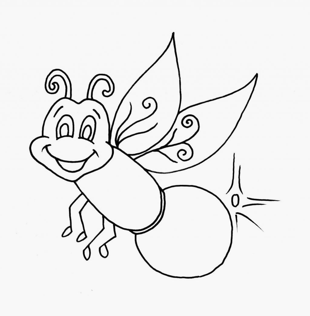 Firefly clipart outline Firefly outline Transparent FREE for download