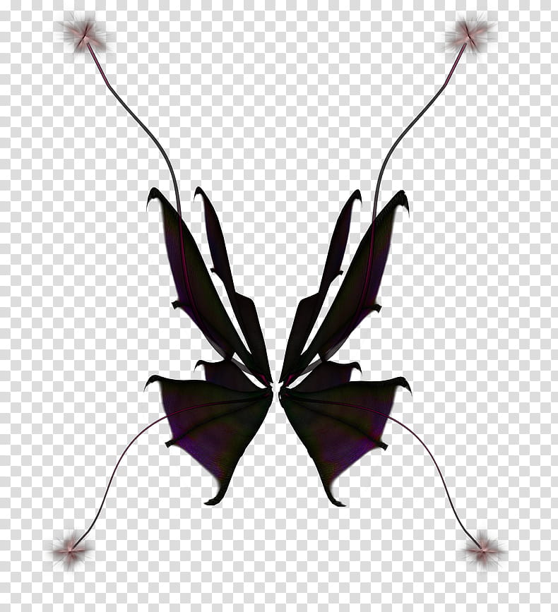 firefly clipart wings