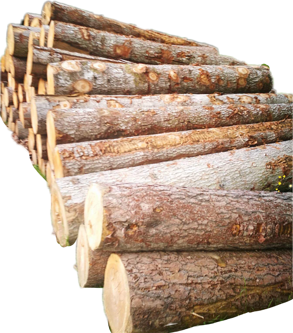 firewood clipart wood pile
