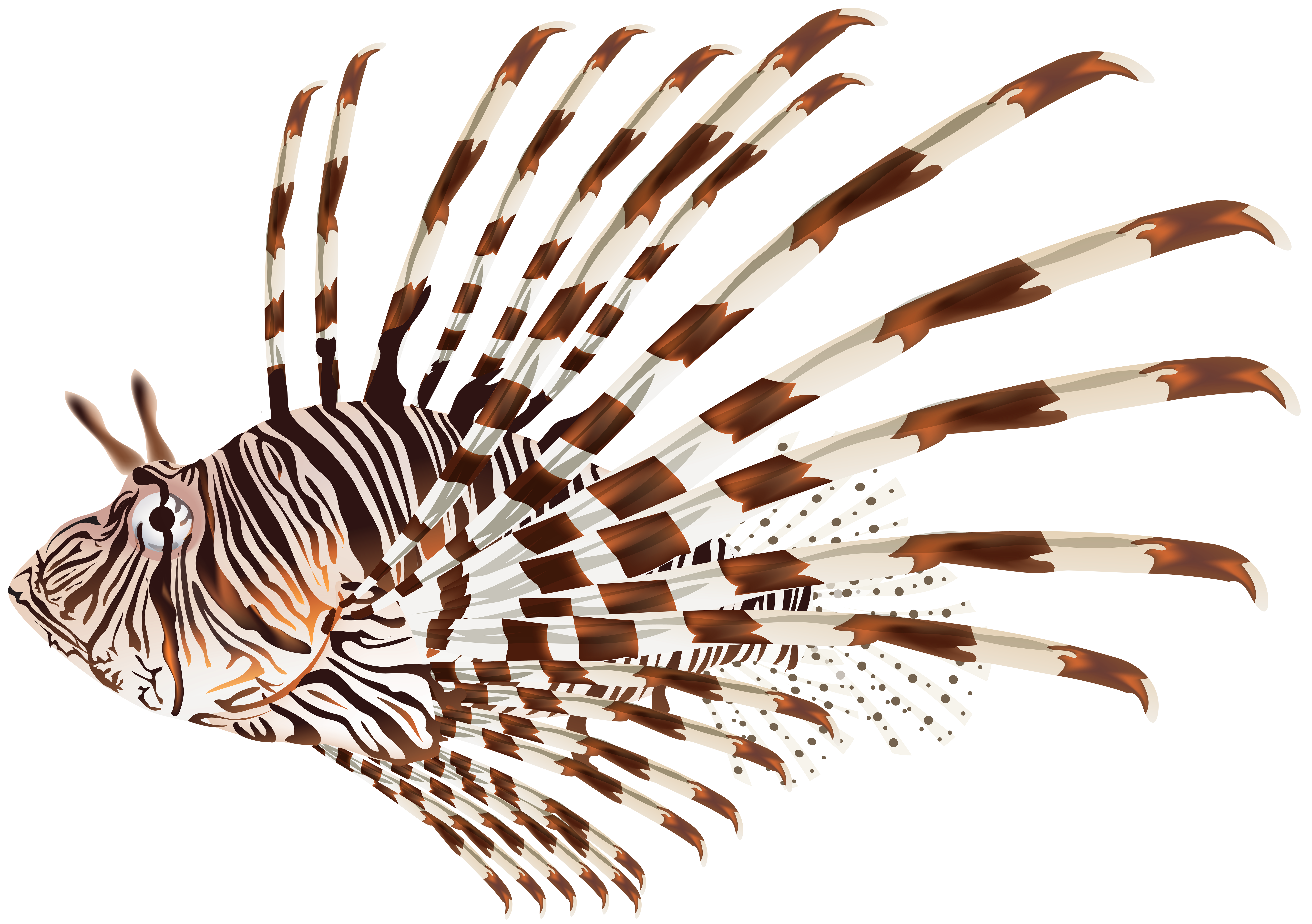 fish clipart clear background
